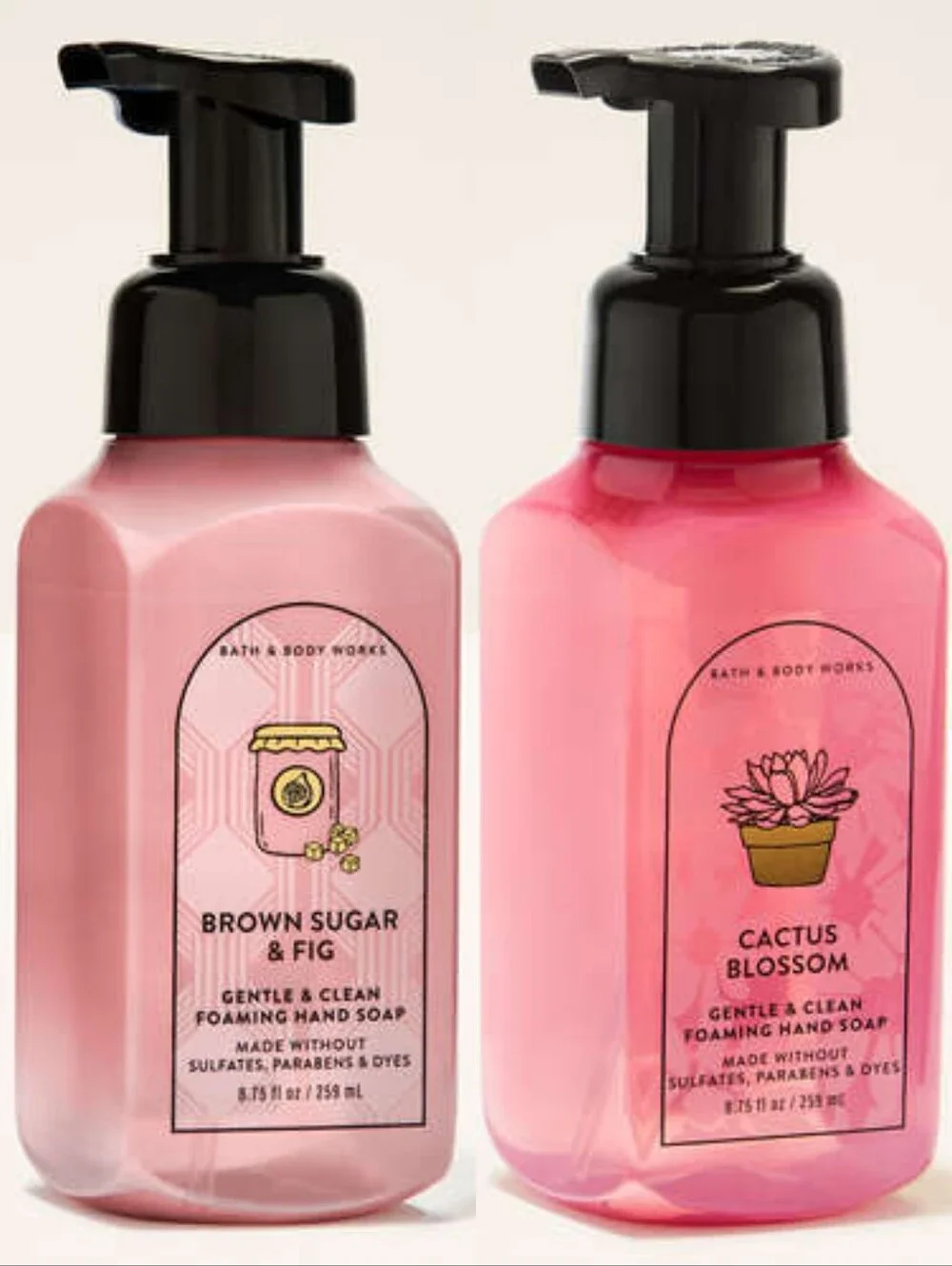 Bath & Body Works Pink Foaming Hand Soap - Cactus Blossom & Brown Sugar & Fig